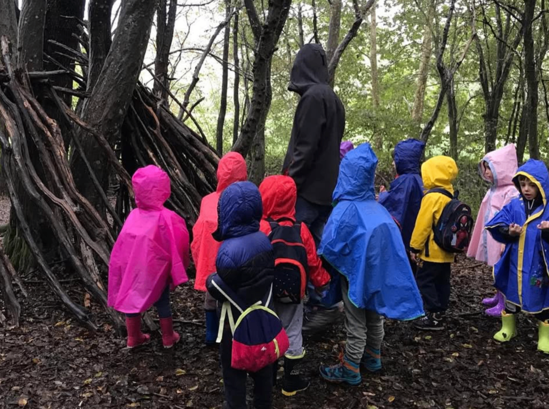 Gruppo di bambini all'aperto nel bosco durante un'attività educativa immersa nella natura